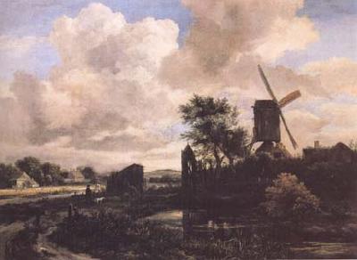 Jacob van Ruisdael Windmill by a Stream (mk25) oil painting picture